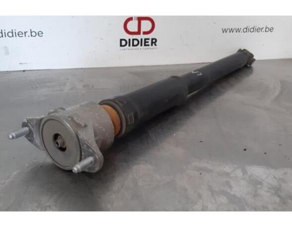 Shock Absorber MERCEDES-BENZ E-CLASS Convertible (A207)