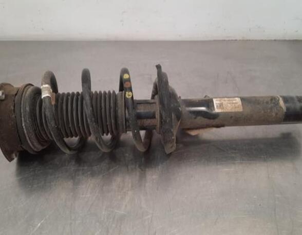 Shock Absorber AUDI Q3 Sportback (F3N)