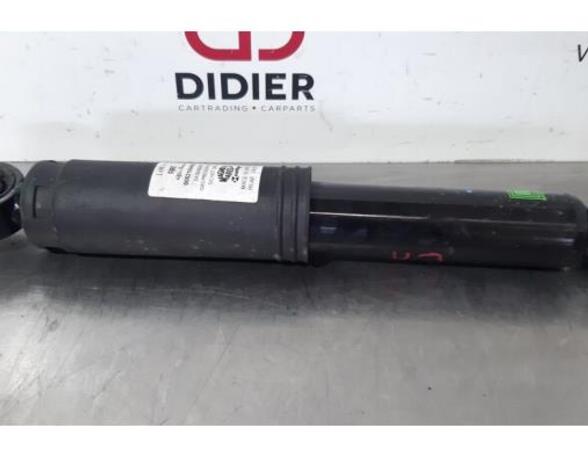 Shock Absorber FIAT 500 (312_), FIAT 500 C (312_)