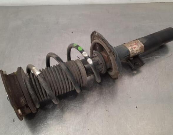 Shock Absorber VW POLO (AW1, BZ1), SEAT IBIZA V (KJ1, KJG)