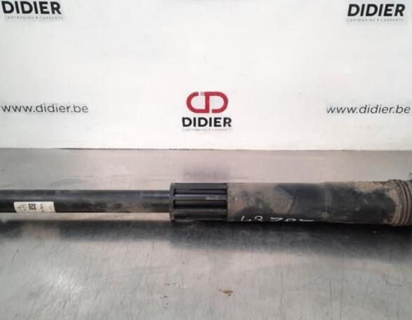 Shock Absorber VW POLO (AW1, BZ1)