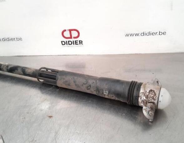 Shock Absorber VW POLO (AW1, BZ1)