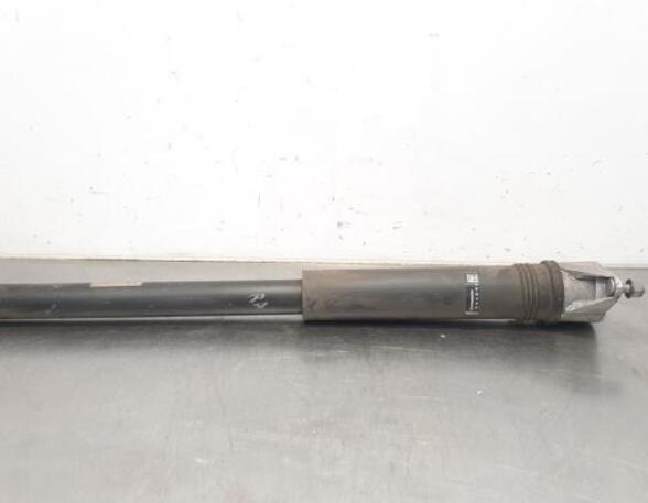 Shock Absorber MERCEDES-BENZ B-CLASS (W247)