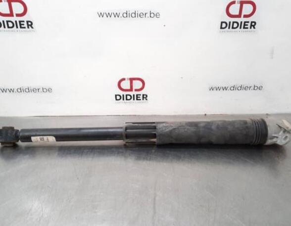 Shock Absorber VW POLO (AW1, BZ1)