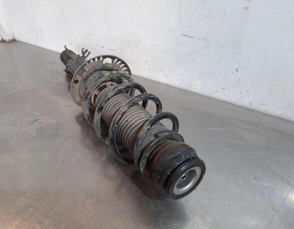 Shock Absorber SKODA FABIA III Estate (NJ5)