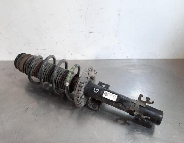 Shock Absorber SKODA FABIA III Estate (NJ5)