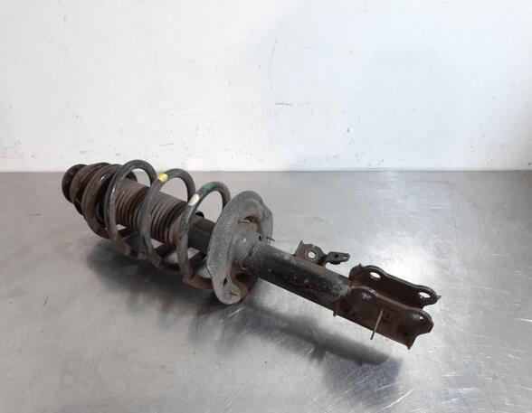 Shock Absorber KIA VENGA (YN)