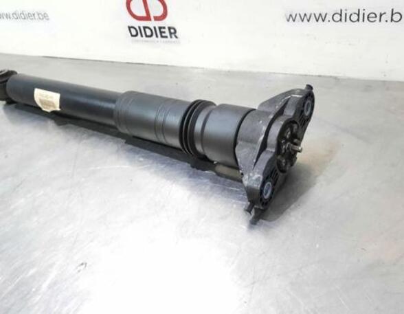 Shock Absorber CITROËN C4 III (BA_, BB_, BC_)