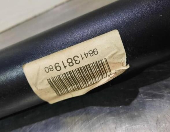 Shock Absorber CITROËN C4 III (BA_, BB_, BC_)