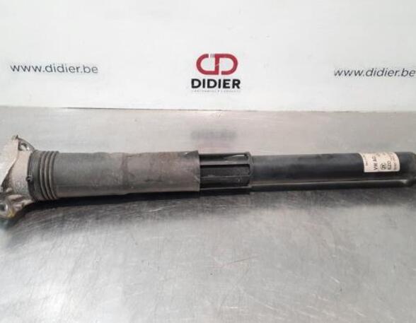 Shock Absorber VW GOLF VIII (CD1)