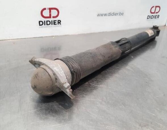 Shock Absorber VW GOLF VIII (CD1)