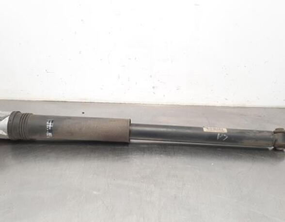 Shock Absorber MERCEDES-BENZ B-CLASS (W247)