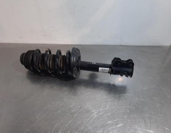 Shock Absorber FIAT TIPO Estate (356_), FIAT TIPO Hatchback (356_)