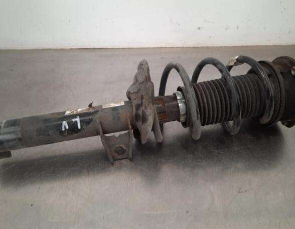 Shock Absorber VW TOURAN (5T1)