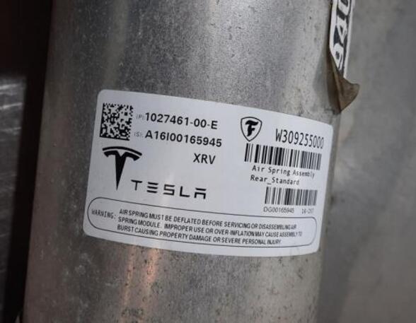 Shock Absorber TESLA MODEL X (5YJX)