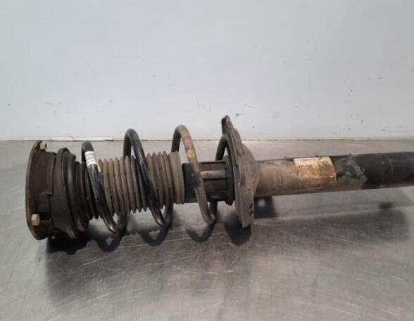 Shock Absorber VW PASSAT B8 Variant (3G5, CB5), VW PASSAT (3G2, CB2)