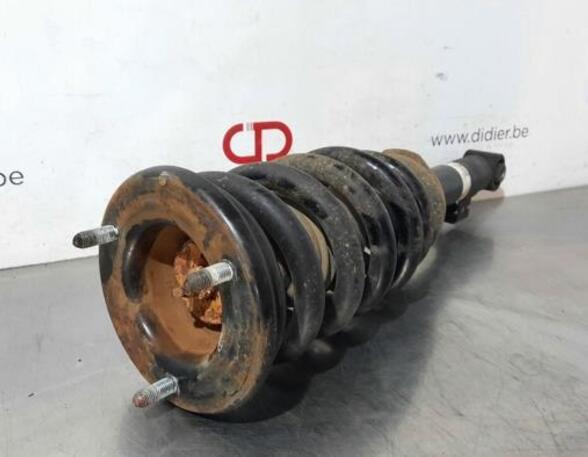 Shock Absorber MITSUBISHI L200 / TRITON (KJ_, KK_, KL_)