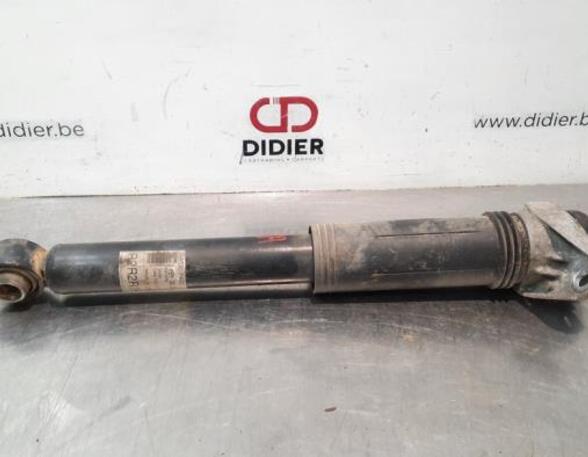 Shock Absorber TOYOTA PRIUS PHV (_W52_), TOYOTA C-HR (_X1_)