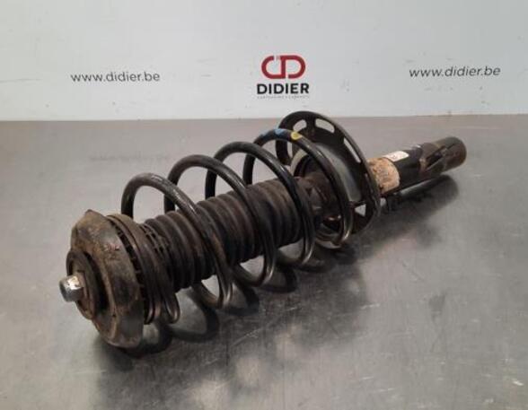 Shock Absorber CITROËN C3 III (SX)