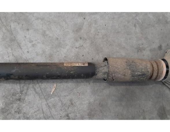 Shock Absorber BMW 1 (F20)