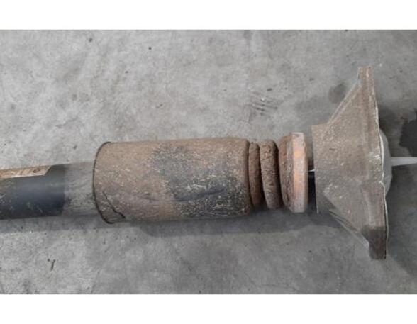 Shock Absorber BMW 1 (F20)