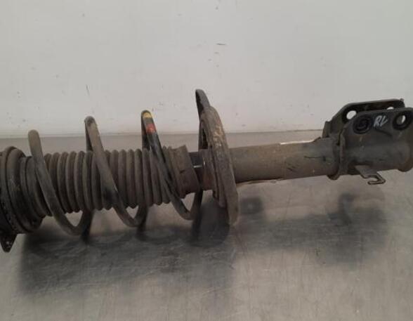 Shock Absorber OPEL CORSA F (P2JO)