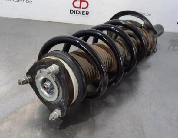 Shock Absorber FORD TRANSIT V363 Bus (FAD, FBD)