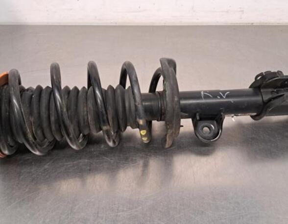 Shock Absorber FIAT 500X (334_)