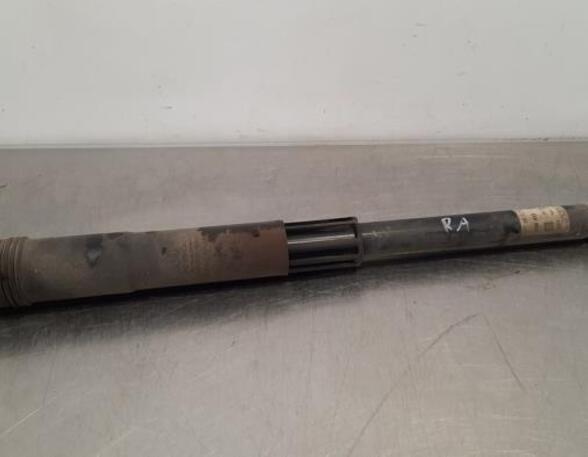 Shock Absorber VW T-CROSS (C11_)