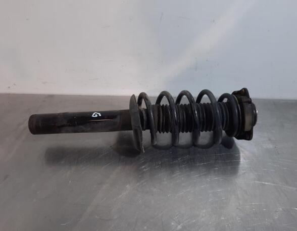 Shock Absorber VW TOURAN (1T1, 1T2)