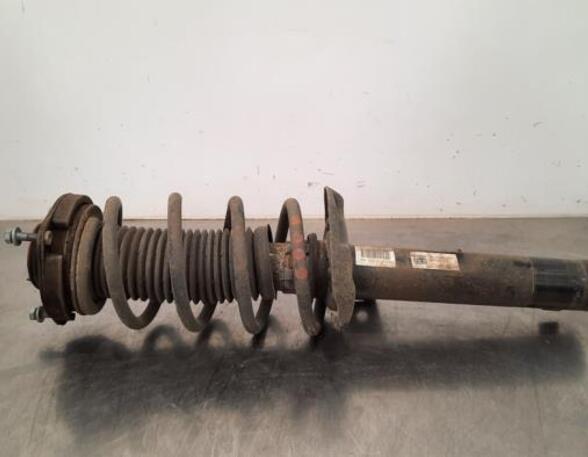 Shock Absorber VW TIGUAN (5N_), VW TIGUAN VAN (5N_)