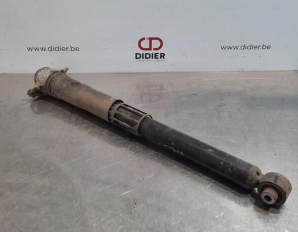 Shock Absorber VW TIGUAN (AD1, AX1), VW TIGUAN ALLSPACE (BW2)