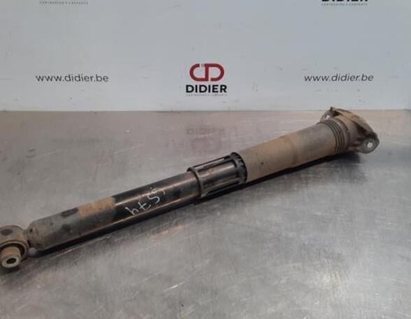 Shock Absorber VW TIGUAN (AD1, AX1), VW TIGUAN ALLSPACE (BW2)