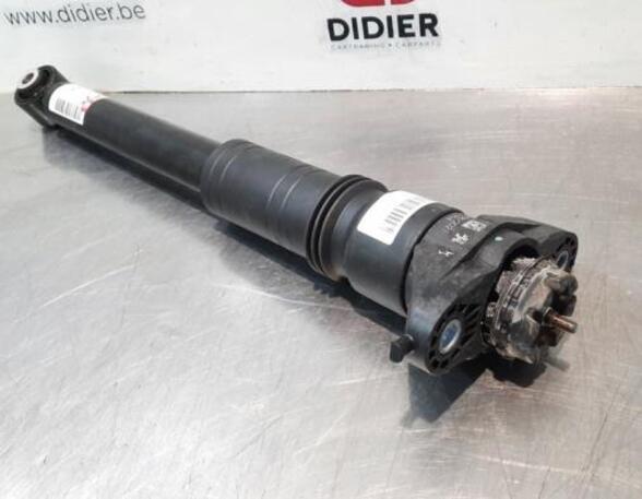 Shock Absorber DS DS 3 / DS 3 CROSSBACK (UR_, UC_, UJ_)