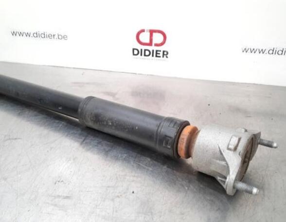 Shock Absorber MERCEDES-BENZ B-CLASS (W246, W242)