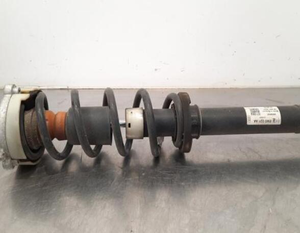 Shock Absorber AUDI A4 (8K2, B8), AUDI A4 (8W2, 8WC, B9)