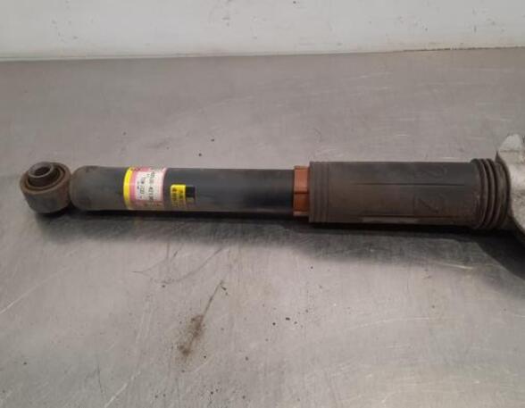 Shock Absorber TOYOTA RAV 4 V (_A5_, _H5_)