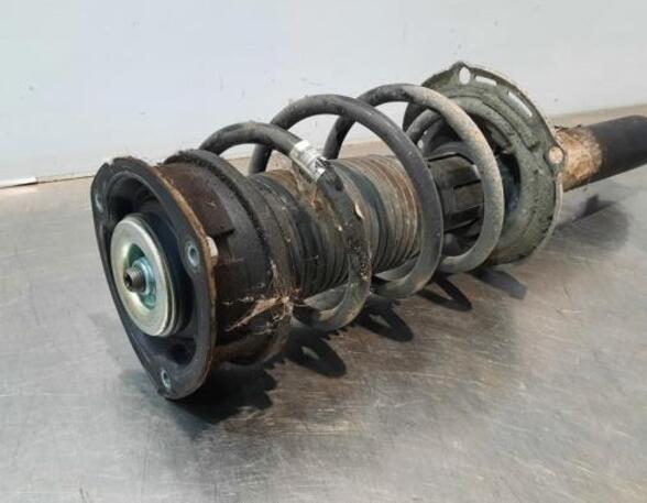 Shock Absorber VW PASSAT B8 Variant (3G5, CB5), VW PASSAT (3G2, CB2)