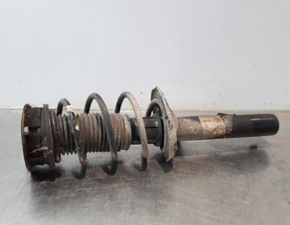 Shock Absorber VW PASSAT B8 Variant (3G5, CB5), VW PASSAT (3G2, CB2)