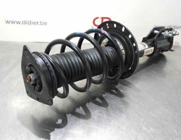 Shock Absorber DS DS 3 / DS 3 CROSSBACK (UR_, UC_, UJ_)