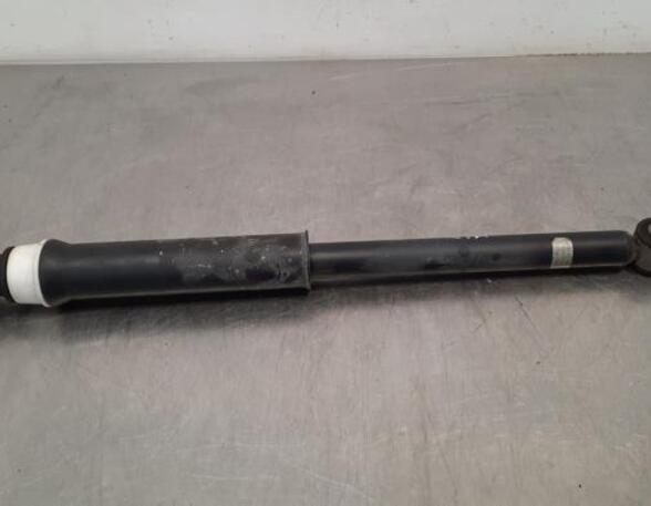 Shock Absorber RENAULT CLIO V (B7_)