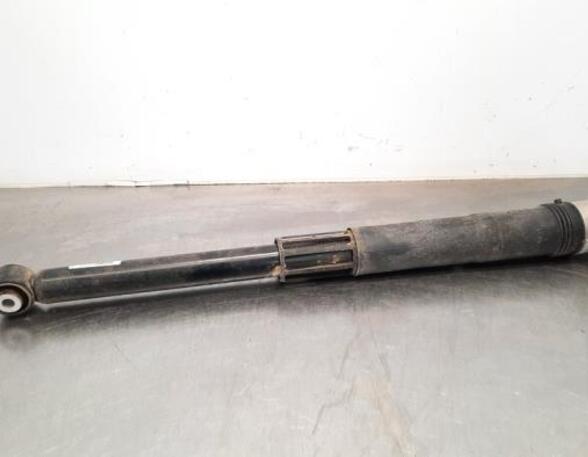 Shock Absorber SKODA KAMIQ (NW4)