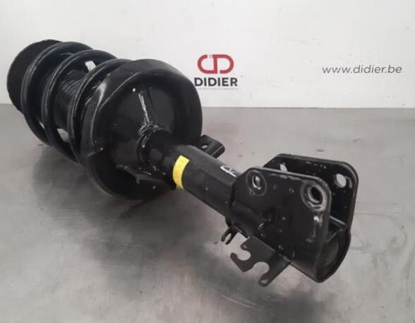 Shock Absorber RENAULT MASTER III Van (FV)