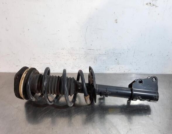 Shock Absorber RENAULT KANGOO Express (FW0/1_)