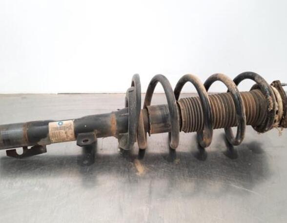 Shock Absorber FORD TRANSIT V363 Bus (FAD, FBD)