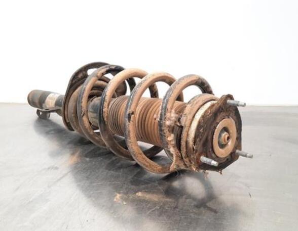 Shock Absorber FORD TRANSIT V363 Bus (FAD, FBD)