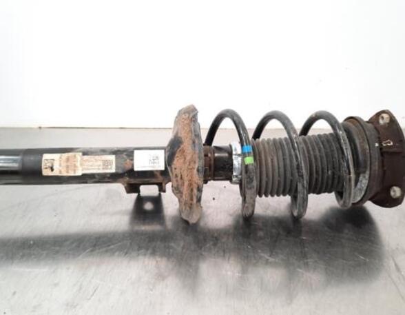 Shock Absorber VW GOLF VIII (CD1)