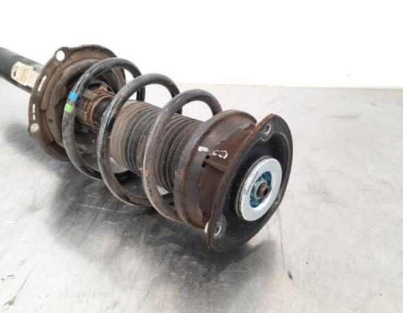 Shock Absorber VW GOLF VIII (CD1)