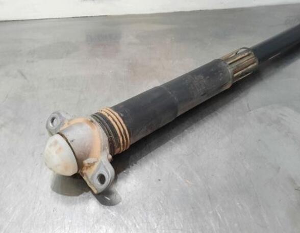 Shock Absorber SKODA SCALA (NW1)