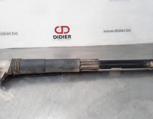 Shock Absorber SKODA SCALA (NW1)